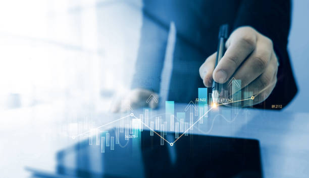 Business Data Audit Report